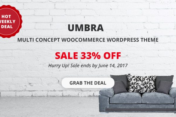 WooCommerce WordPress Theme